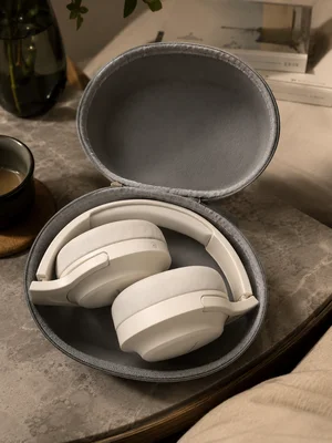 DreamPhones Focus in its travel case